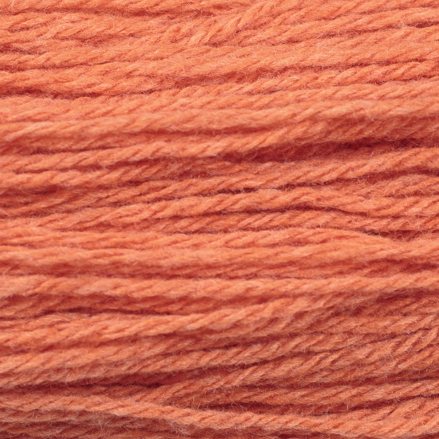 Amore ws super soft cashmere 240 Borgo de' Pazzi - 48 arancio