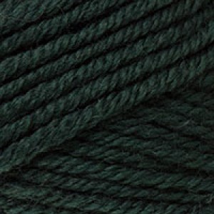 Twist - Laines du Nord - - 29 verde scuro