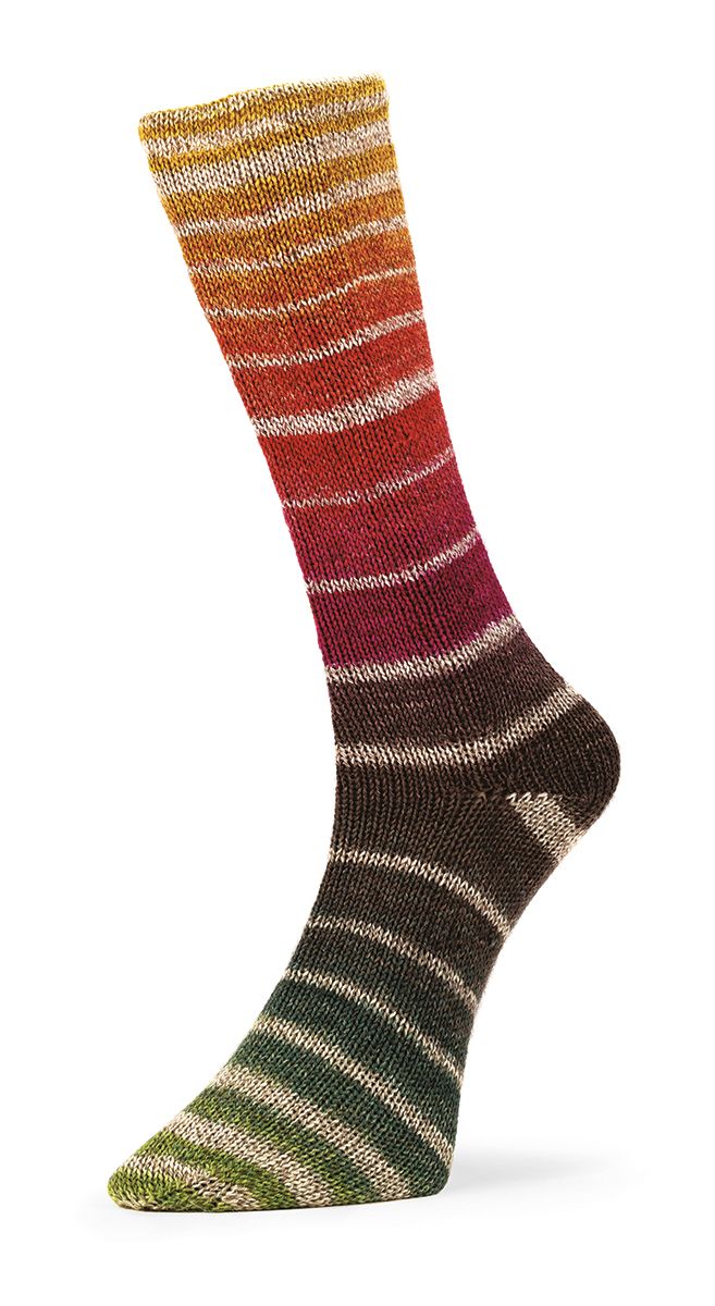 NORDIK SOCKS Laines du Nord - 2